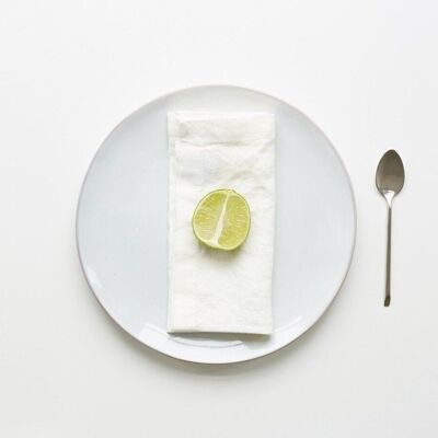 Lot de 2 serviettes en lin blanc