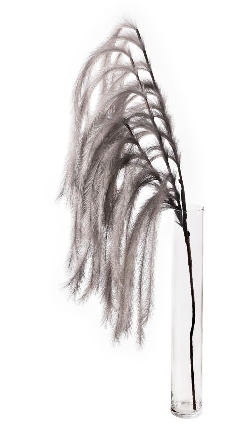 MOA PAMPAS twig 125cm grey