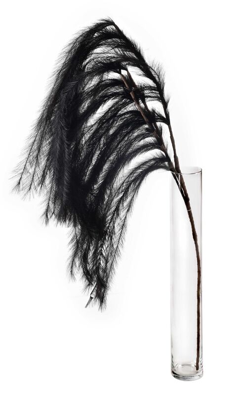 MOA PAMPAS twig 125cm black