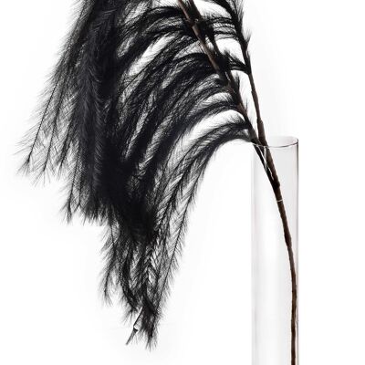 MOA PAMPAS twig 125cm black