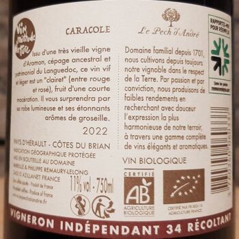 Caracole (vin clairet bio et naturel) 4