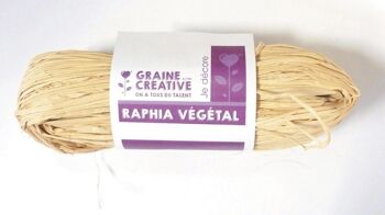 RAPHIA VEGETAL NATUREL PELOTE 50 Gr 1