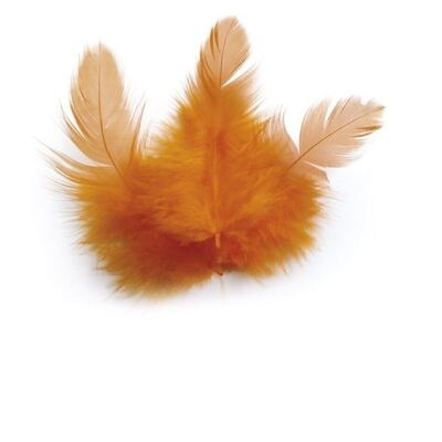 BAG 3 Gr ORANGE ROOSTER FEATHERS Ht.100