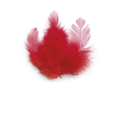 BAG 3 Gr RED ROOSTER FEATHERS Ht.100