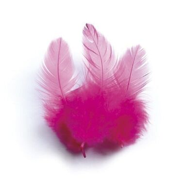 BAG 3 Gr BRIGHT PINK ROOSTER FEATHERS Ht.100