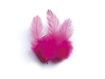 SACHET 3 Gr PLUMES DE COQ ROSE VIF Ht.100 1