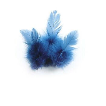 SACHET 3 Gr PLUMES DE COQ TURQUOISE Ht.100 1