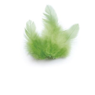 SACHET 3 Gr PLUMES DE COQ VERT CLAIR Ht.100