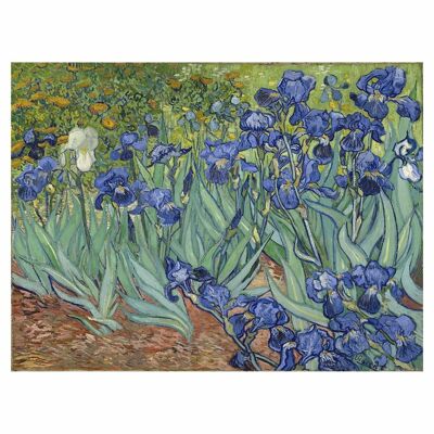 Irises painting picture