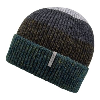 Chapeau d'hiver (bonnet) Fritz Hat 2
