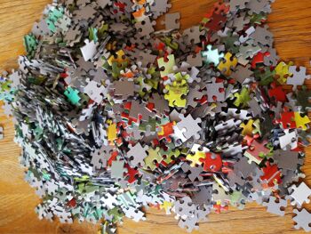Araçari à Collier - Puzzle 1500 pièces 4