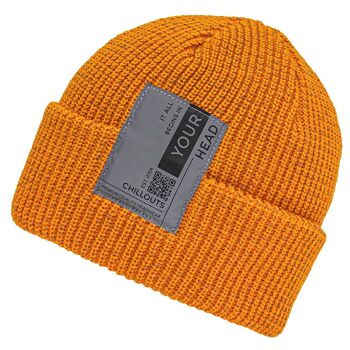 Chapeau d'hiver (bonnet) Pius Hat 7