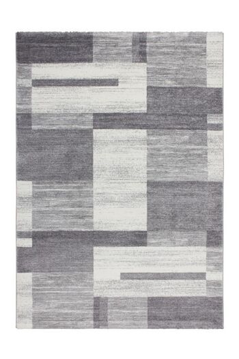 Tapis Feeling 501 argent 160 x 230 cm 1