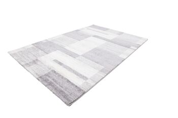 Tapis Feeling 501 argent 160 x 230 cm 2