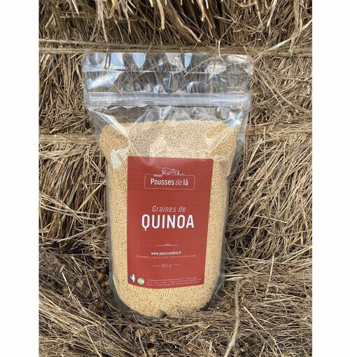 Quinoa CAB sans gluten