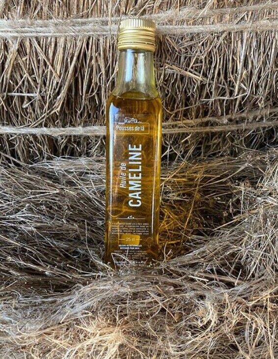 OLIO DI CAMELINA AB 25CL