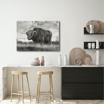 Photographie sur toile : Pangea Images, Scottish Highland Bull (BW) 2