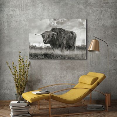 Foto auf Leinwand: Pangea Images, Scottish Highland Bull (BW)