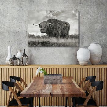 Photographie sur toile : Pangea Images, Scottish Highland Bull (BW) 4