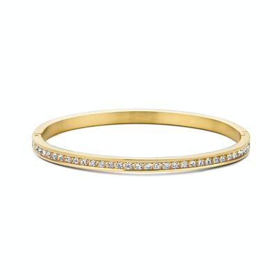 CO88 bangle with white 1 row crystal ipg