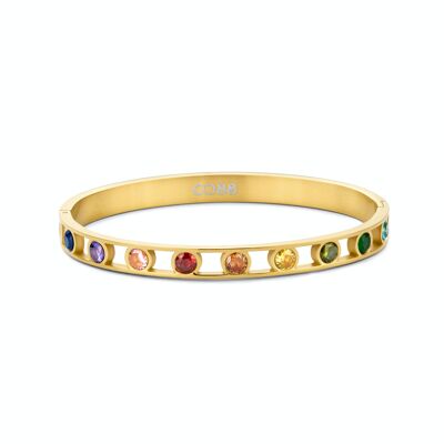 CO88 bracciale rigido con zirconi arcobaleno ipg