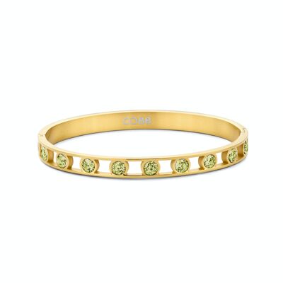 CO88 bangle with olive green cz ipg
