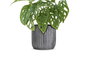 Nouveau pot de plantes en ciment | Motifs avec des peintures métallisées Argent | Poids léger | Pot à gobelet d'intérieur 2