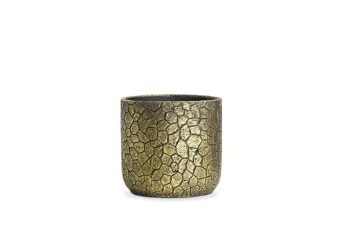 New Cement Plant Pot | Patterns with metallic paints Gold  | Light weight | Indoor Tumbler Pot
