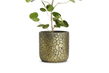 Nouveau pot de plantes en ciment | Motifs avec des peintures métallisées Or | Poids léger | Pot à gobelet d'intérieur 2