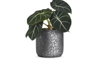 Nouveau pot de plantes en ciment | Motifs avec des peintures métallisées Argent | Poids léger | Pot à gobelet d'intérieur 2