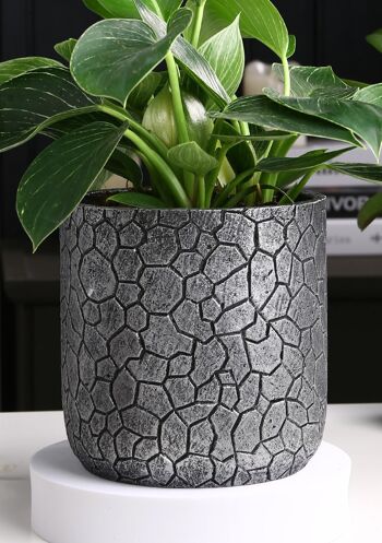 Nouveau pot de plantes en ciment | Motifs avec des peintures métallisées Argent | Poids léger | Pot à gobelet d'intérieur 3