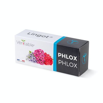 Lingot® Phlox - Recharge prête à l'emploi