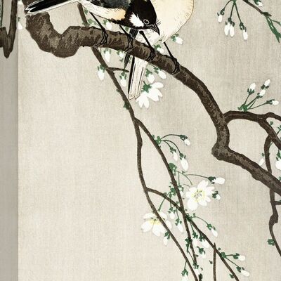 Japanische Malerei: Ohara Koson, Kleine Vögel auf dem Ast