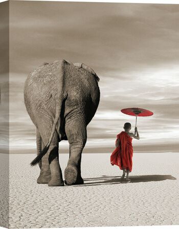 Photographie sur toile : Marc Moreau, Jeune moine bouddhiste à l'éléphant 1