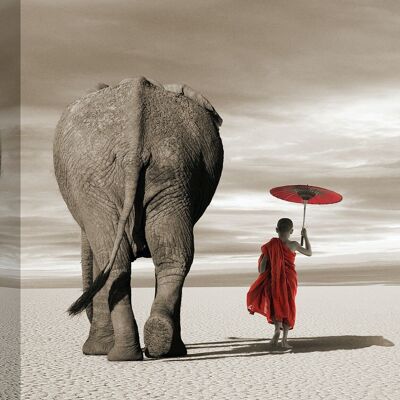 Fotografia su tela: Marc Moreau, Giovane monaco buddista con elefante