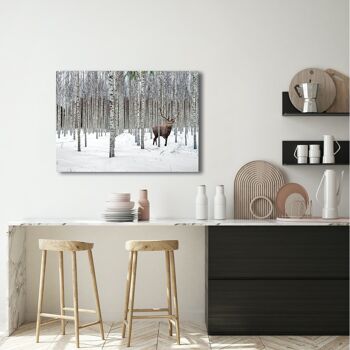 Photographie sur toile : Pangea Images, Cerf dans la forêt de bouleaux, Norvège 1