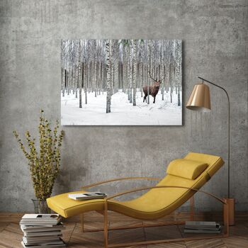 Photographie sur toile : Pangea Images, Cerf dans la forêt de bouleaux, Norvège 3