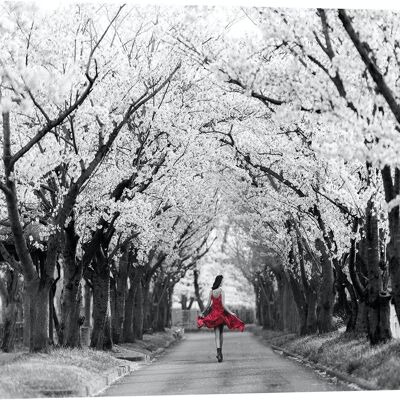 Canvas Photography: Haute Photo Collection, Sakura Girl