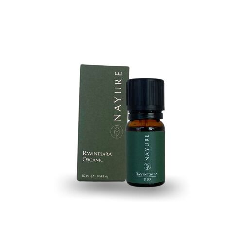 Ravintsara Essential Oil Organic