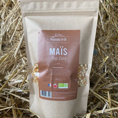 PALOMITAS DE MAÍZ ORGÁNICAS 380G