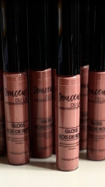 GLOSS Bois de Rose 100% Naturel 22% Bio 1