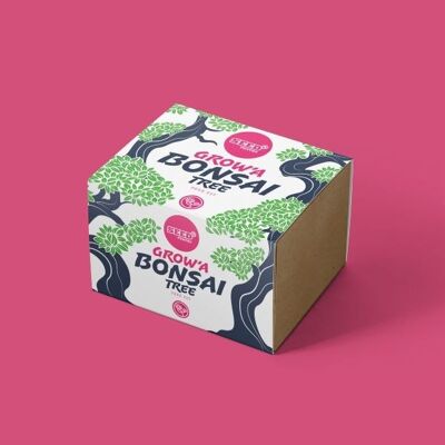 Bonsai Seed Kit