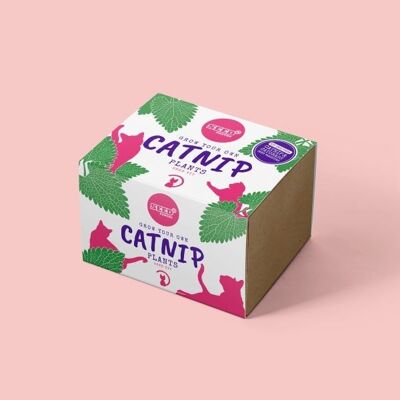 Katzenminze-Samen-Kit