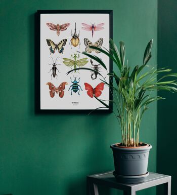 Affiche planche insectes à l'aquarelle - Affiche entomologique - Cabinet de curiosité - Décoration murale - Tirage d'art - Planche dessin 1