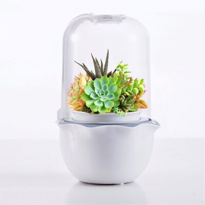 Micro Pod Garden