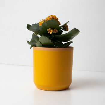 Pot de fleurs artisanal jaune safran 2