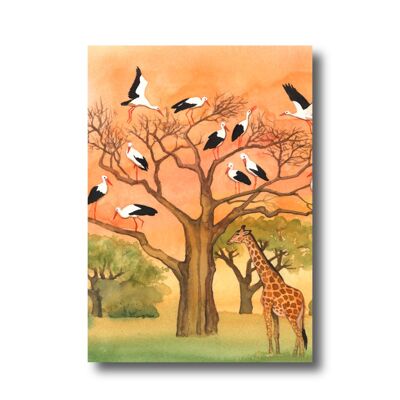Postcard: storks in Africa