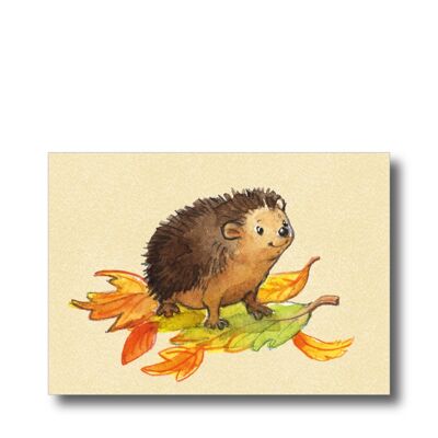 Postcard: hedgehog