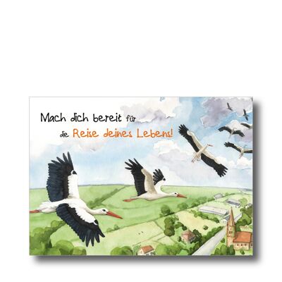 Postcard: storks journey