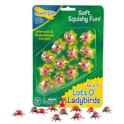 Lots O' Ladybirds